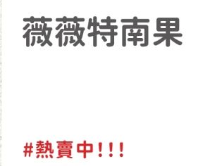 中焙＞瓜地馬拉 薇薇特南果 水洗