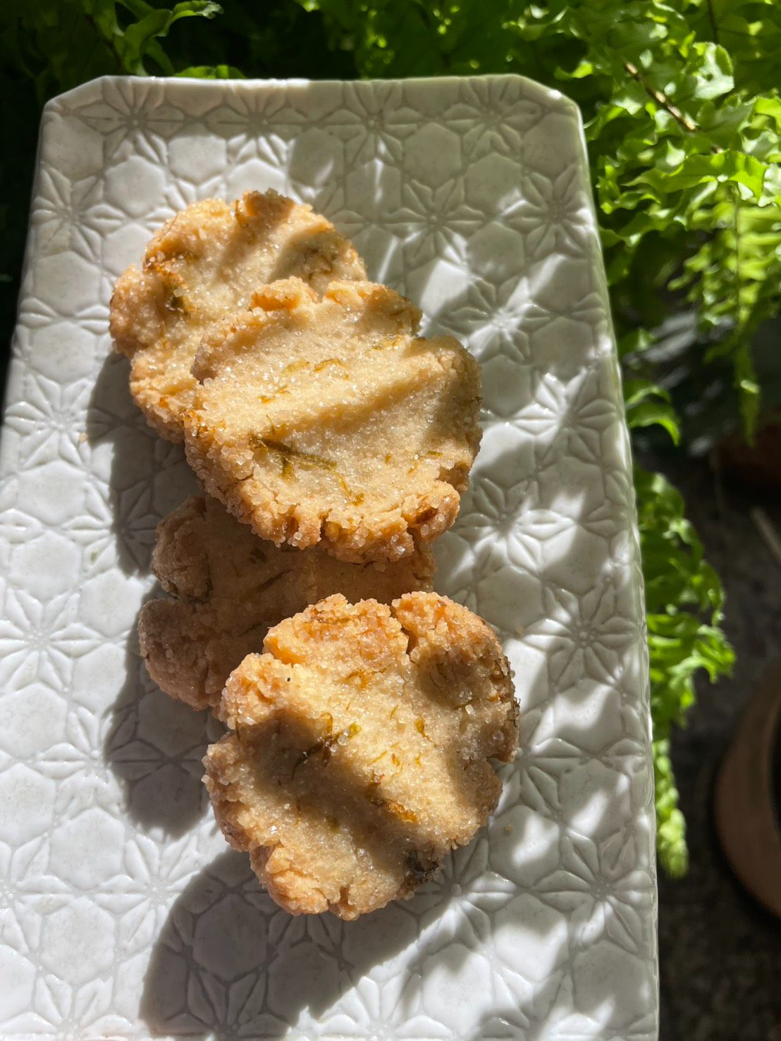 無麩純米餅乾（無蛋奶/無黃豆）。
