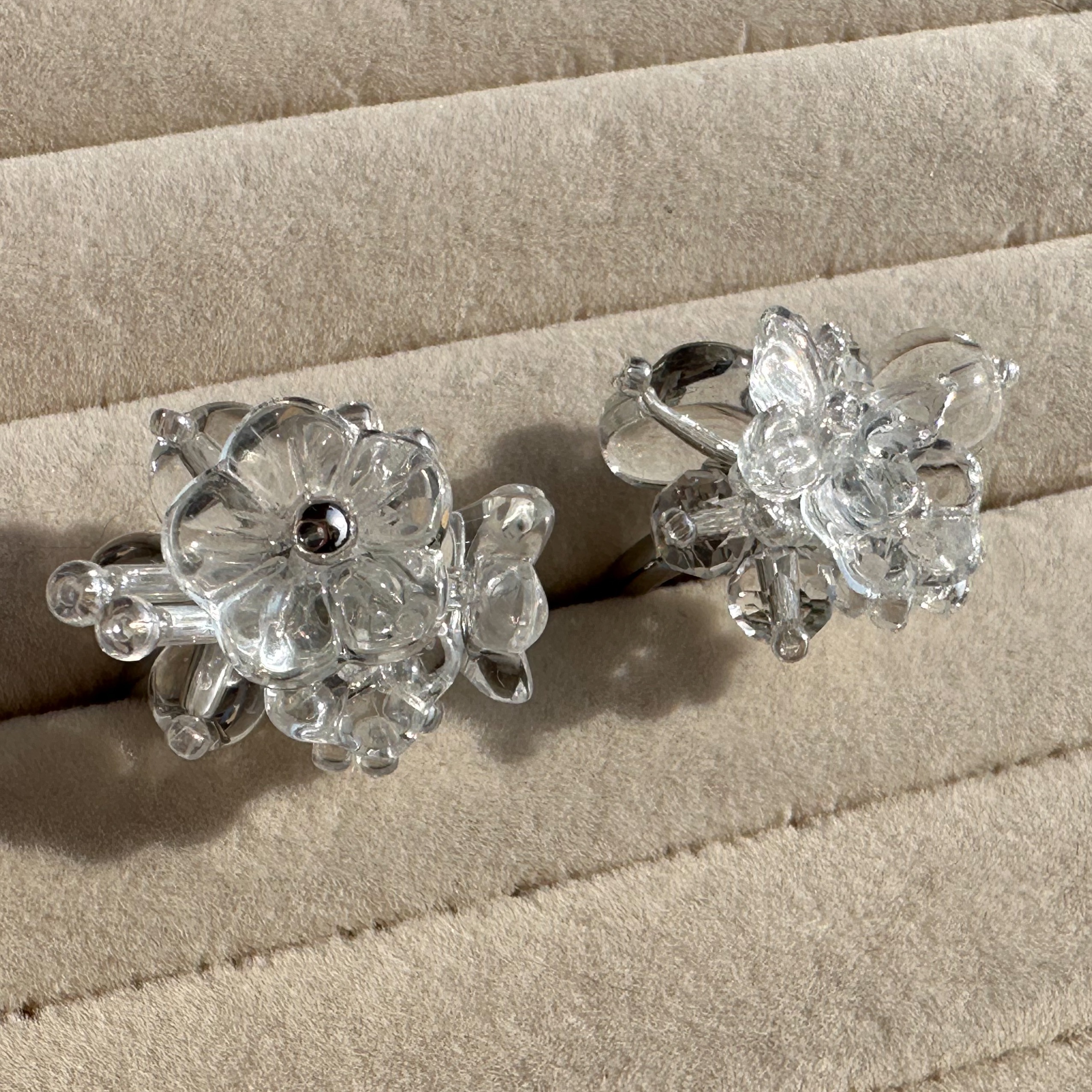 迷你指間花園 全透明系列