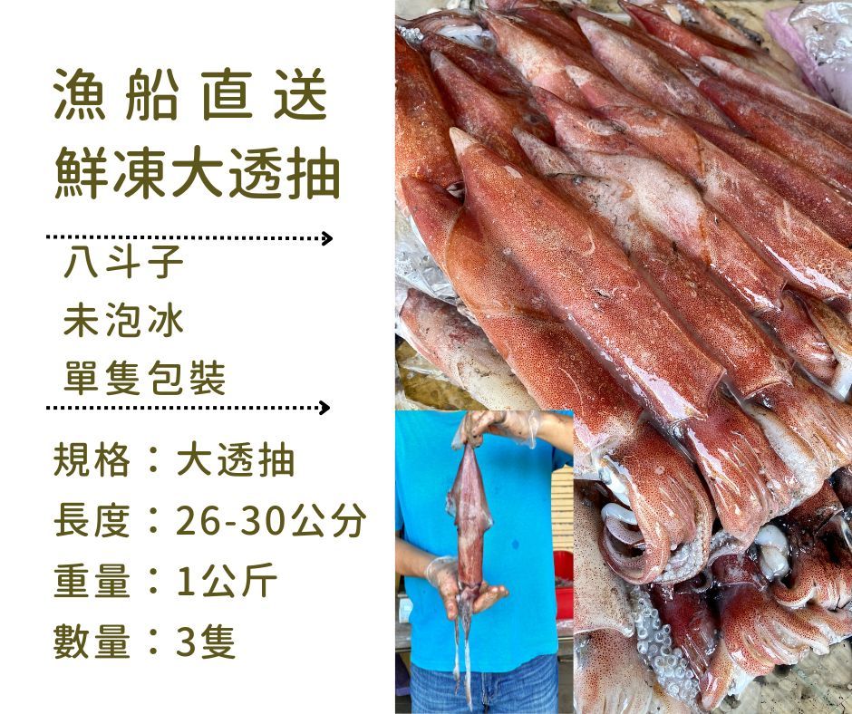 漁船直送/鮮凍大透抽