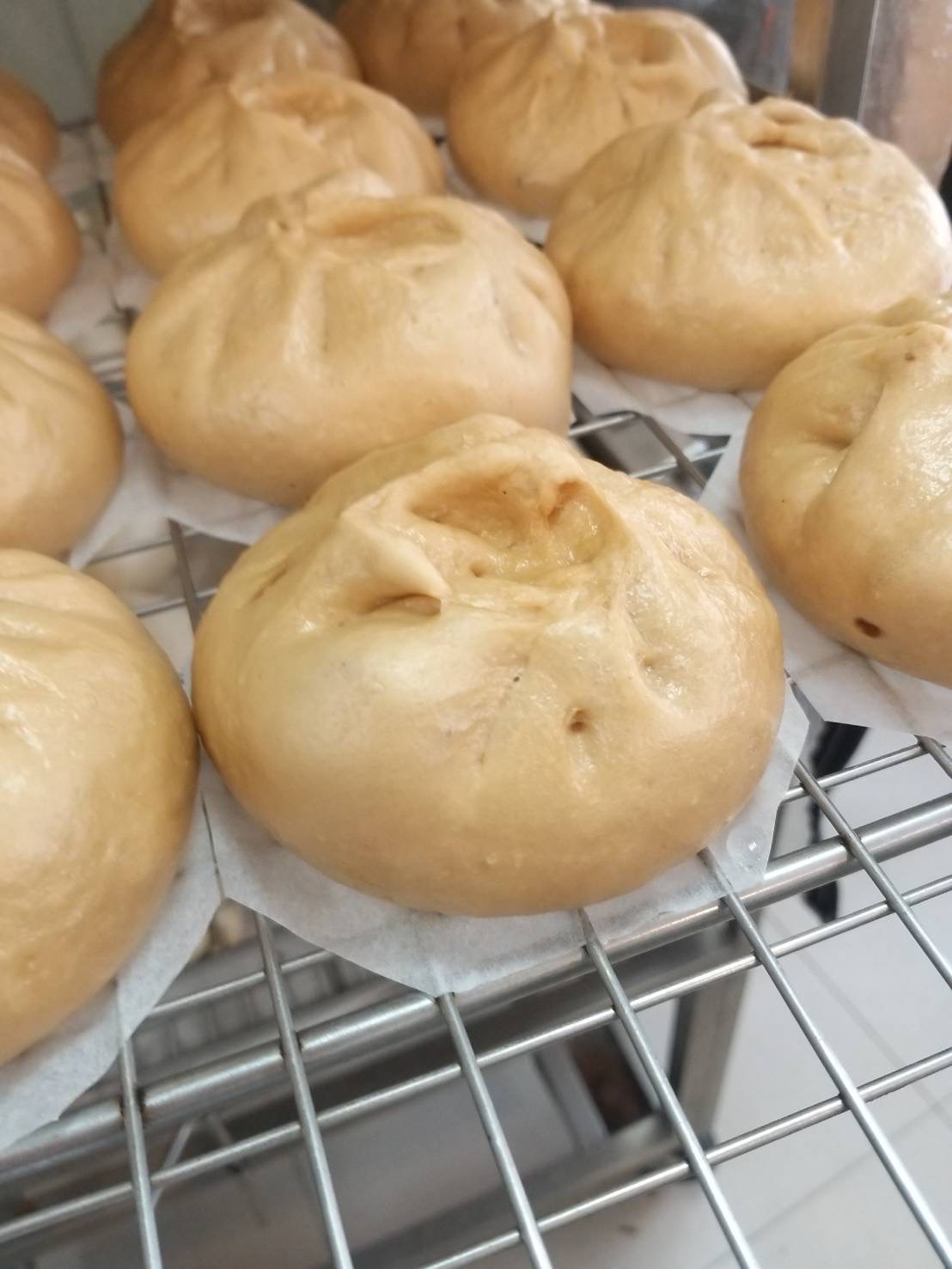 赤腰豆包