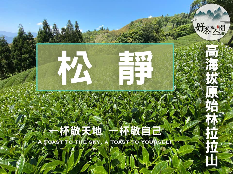 【好茶在人間】春茶拉拉山-松靜烏龍茶-春茶預購（一斤）