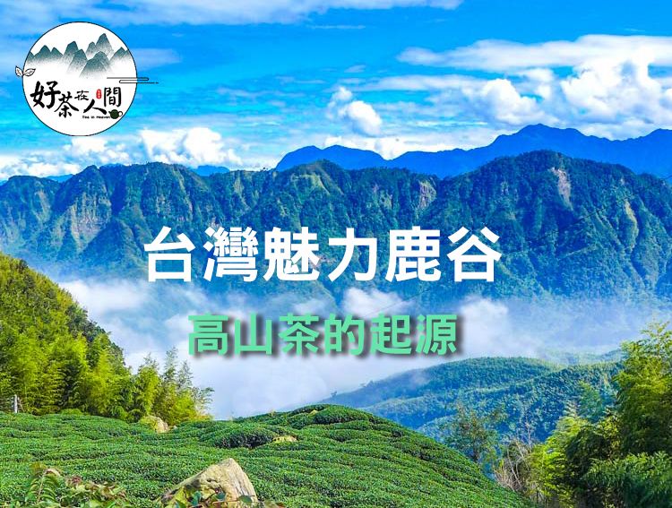 【好茶在人間】鹿谷日光清香烏龍茶-四兩-150g