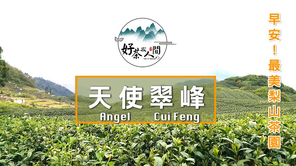 【好茶在人間】梨山翠峰-甯霜烏龍茶-清香-二兩裝-75g