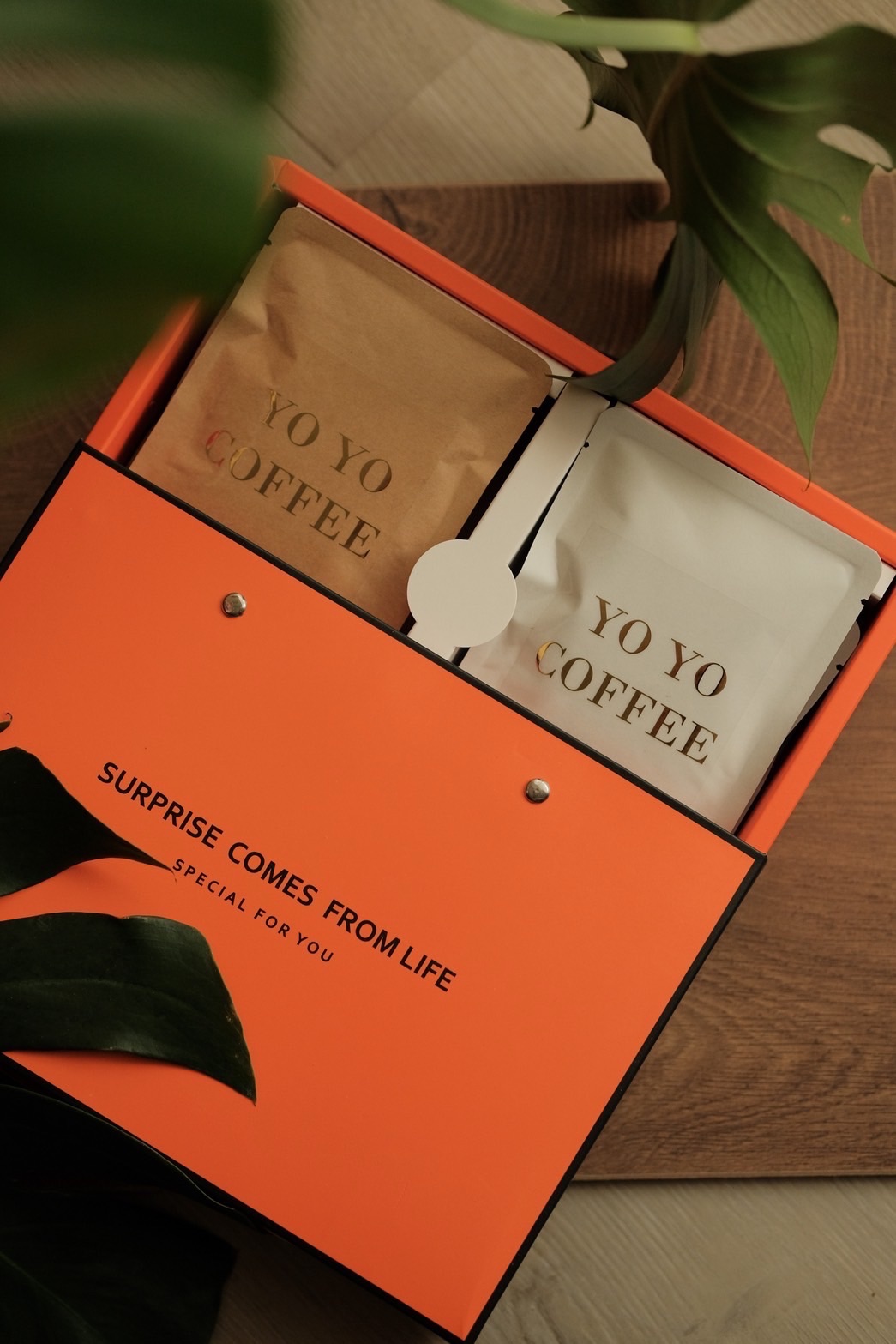 暖橘絲綢緞濾掛/咖啡豆禮盒15gx8包