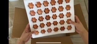 蝦紅素放牧蛋