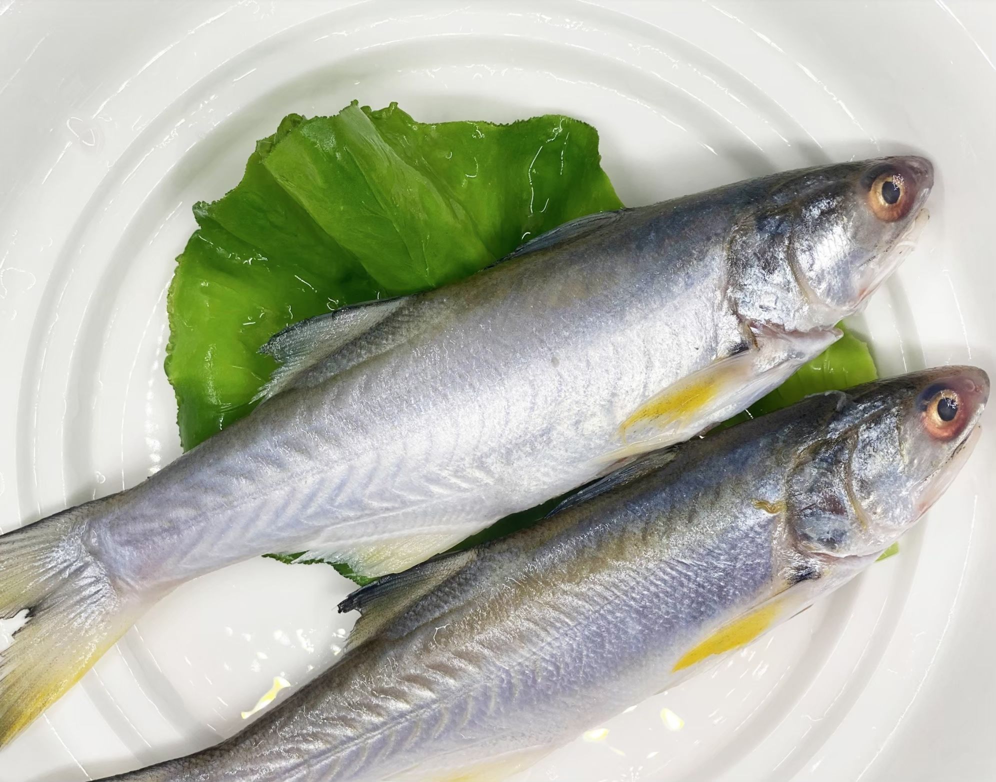 午仔魚