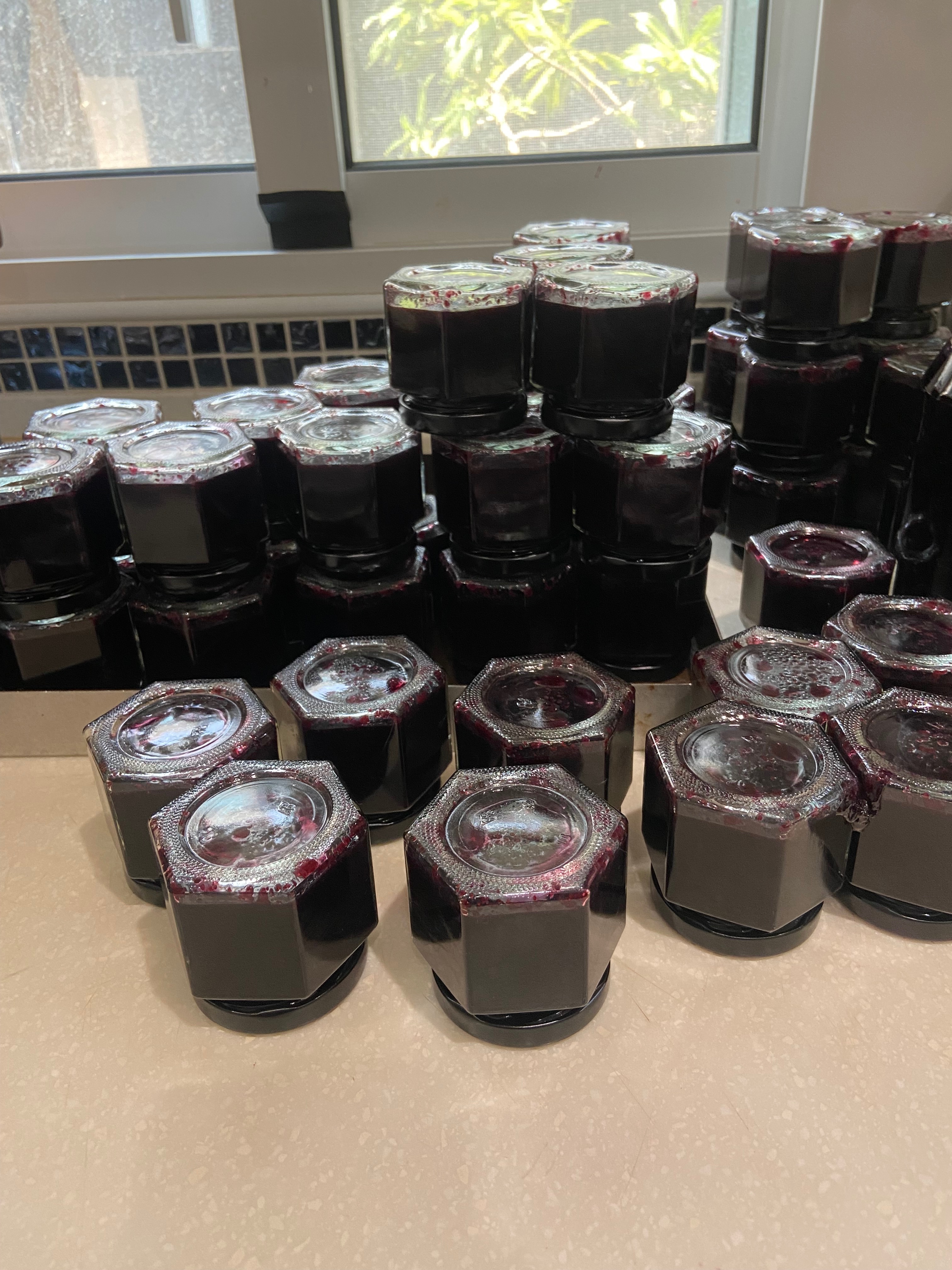 一入蜂蜜藍莓果醬honey blueberry jam