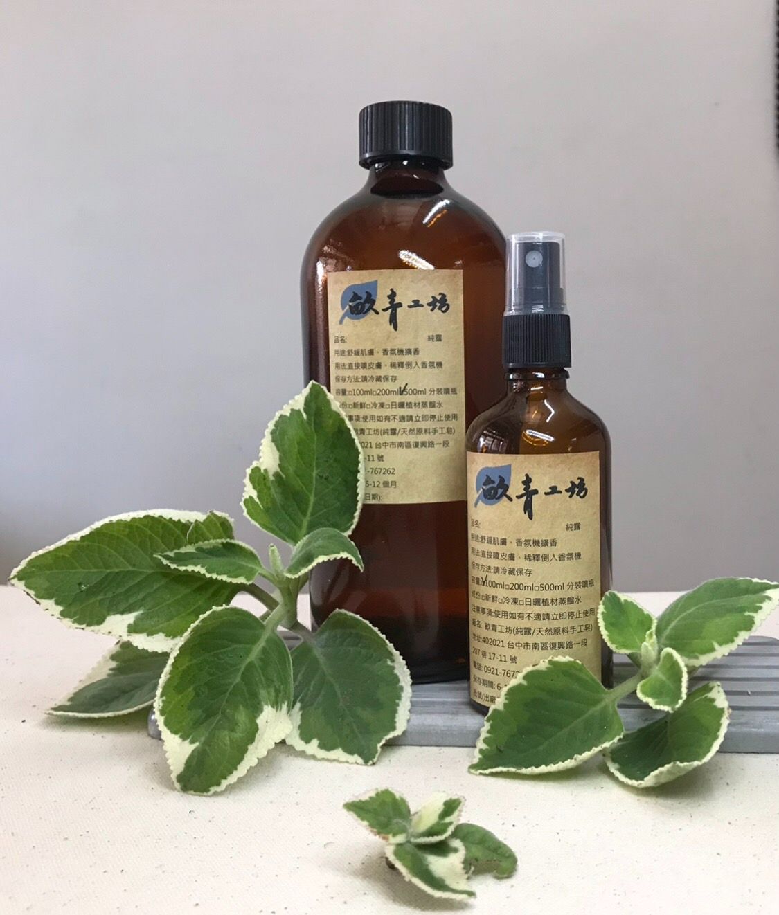 斑葉左手香純露/製作日期:  20241212