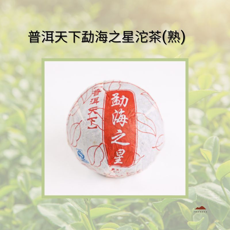 100g普洱沱茶