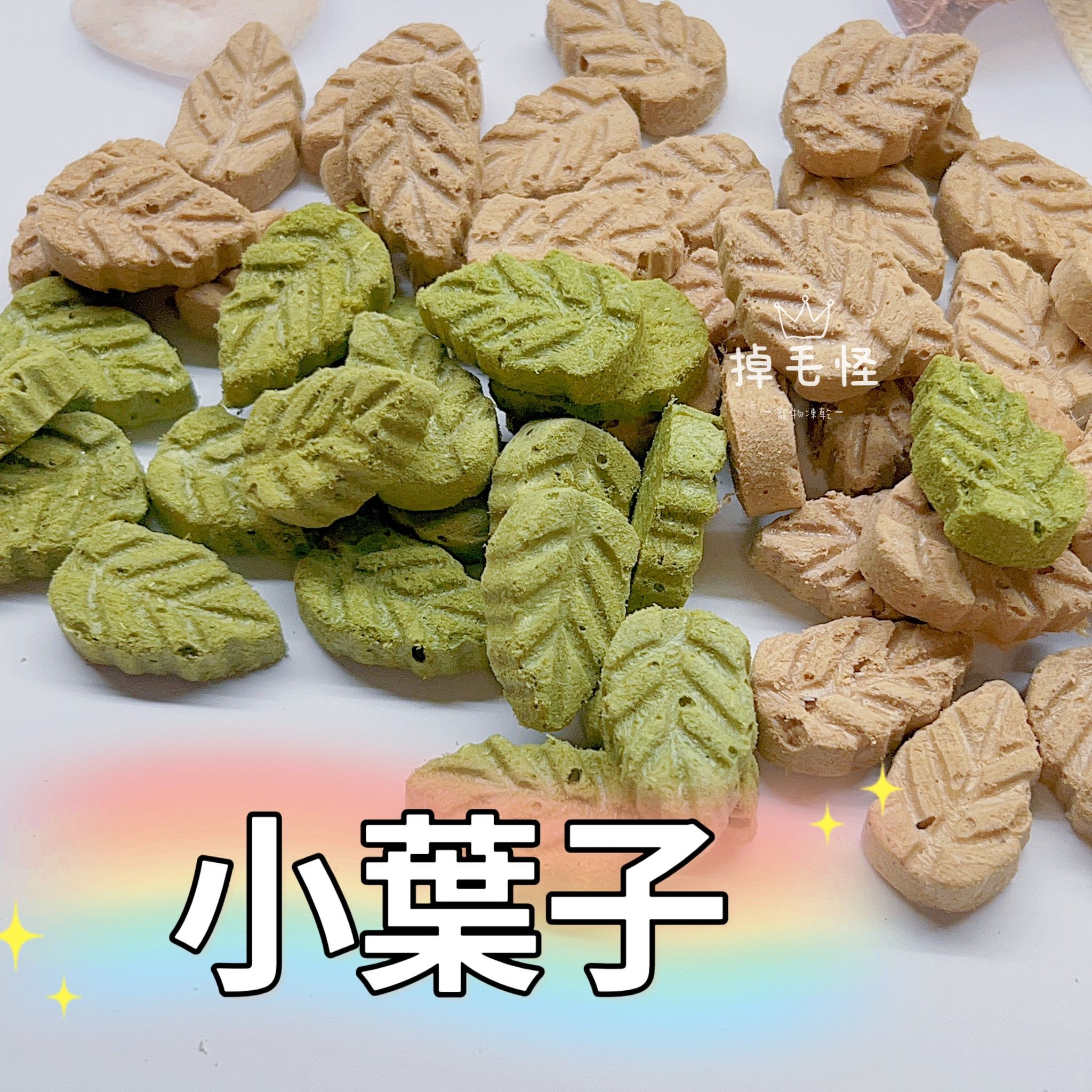 【掉毛怪🚚 小樹葉】