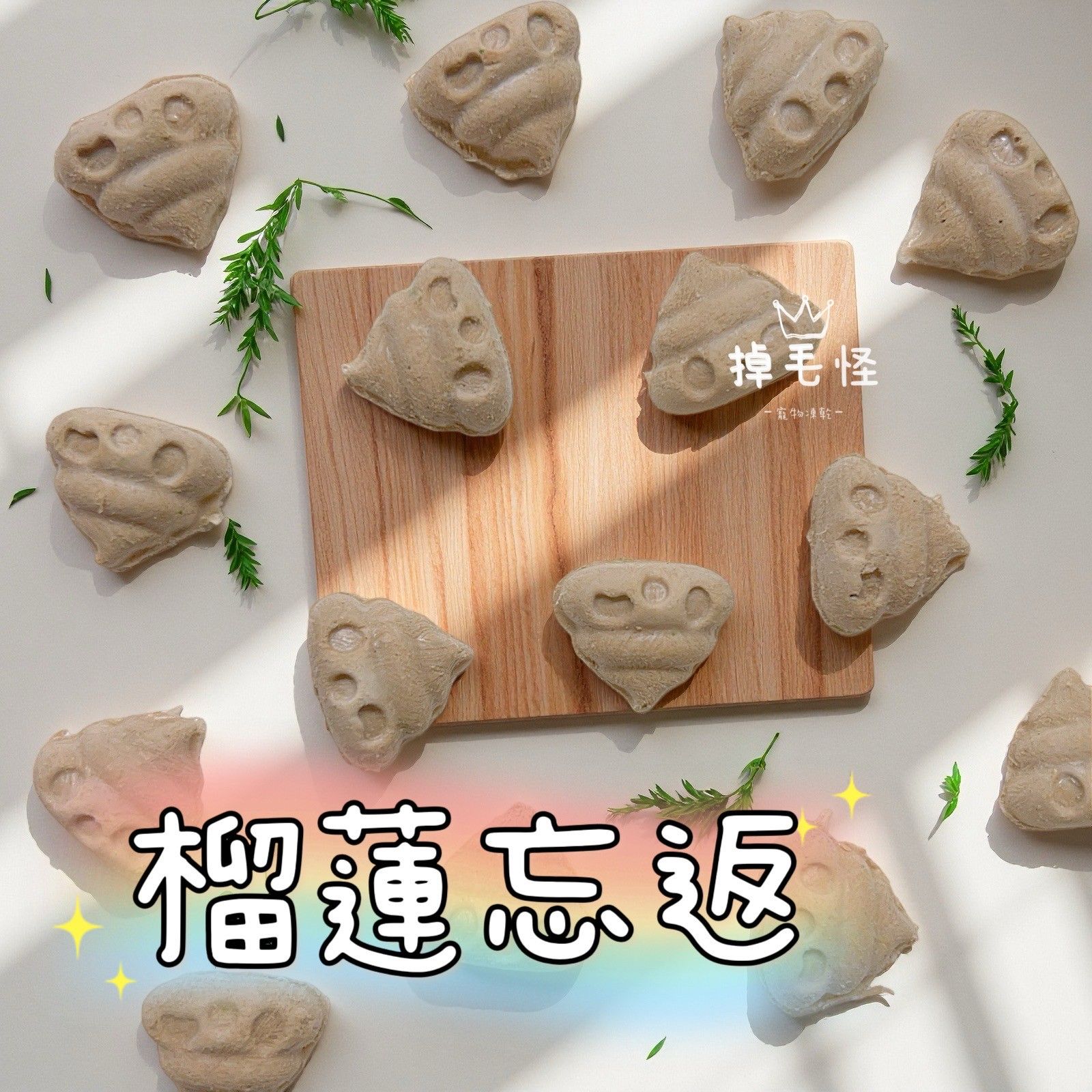 【掉毛怪🚚榴槤忘返】