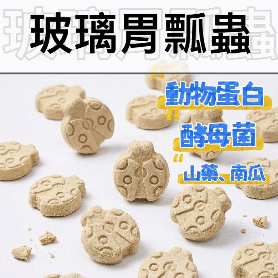 【掉毛怪🚚護胃瓢蟲】