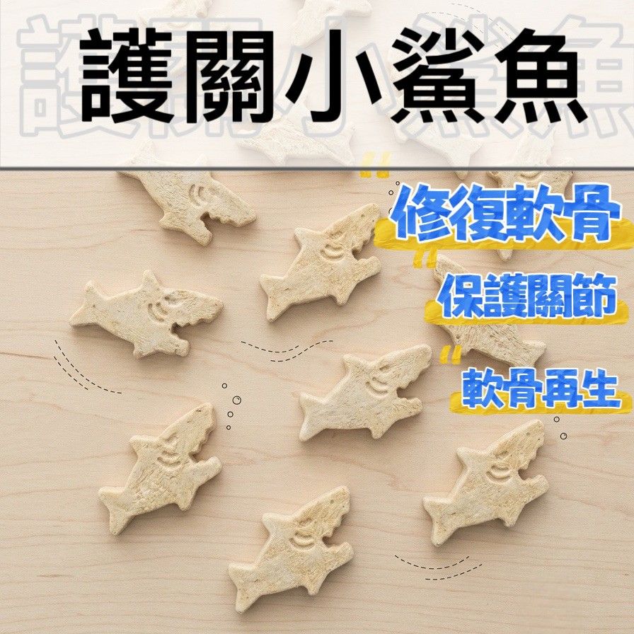 【掉毛怪🚚護關小鯊】