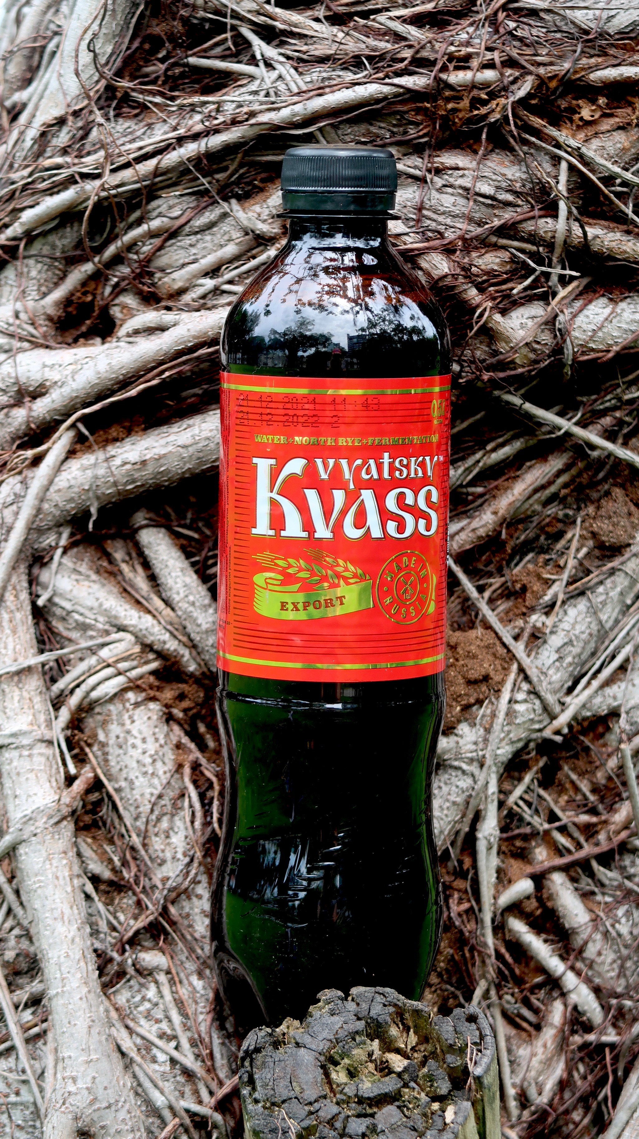 俄羅斯黑麥汁 kvass