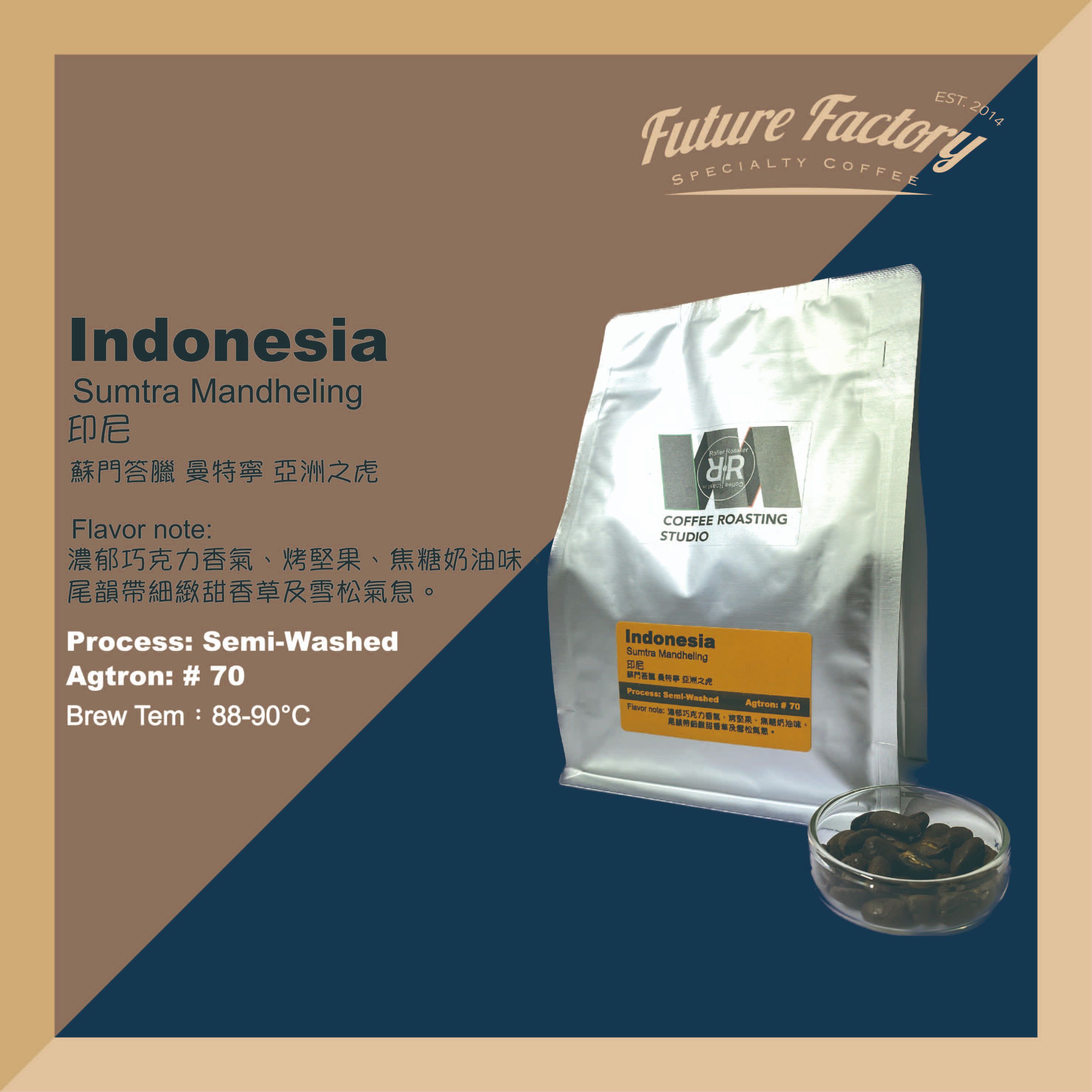 「啡創工廠」精品咖啡豆-印尼 蘇門答臘 曼特寧 亞洲之虎 半水洗