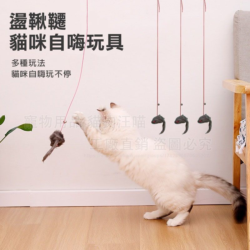 盪鞦韆貓咪自嗨玩具