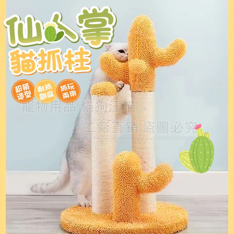 仙人掌貓抓柱