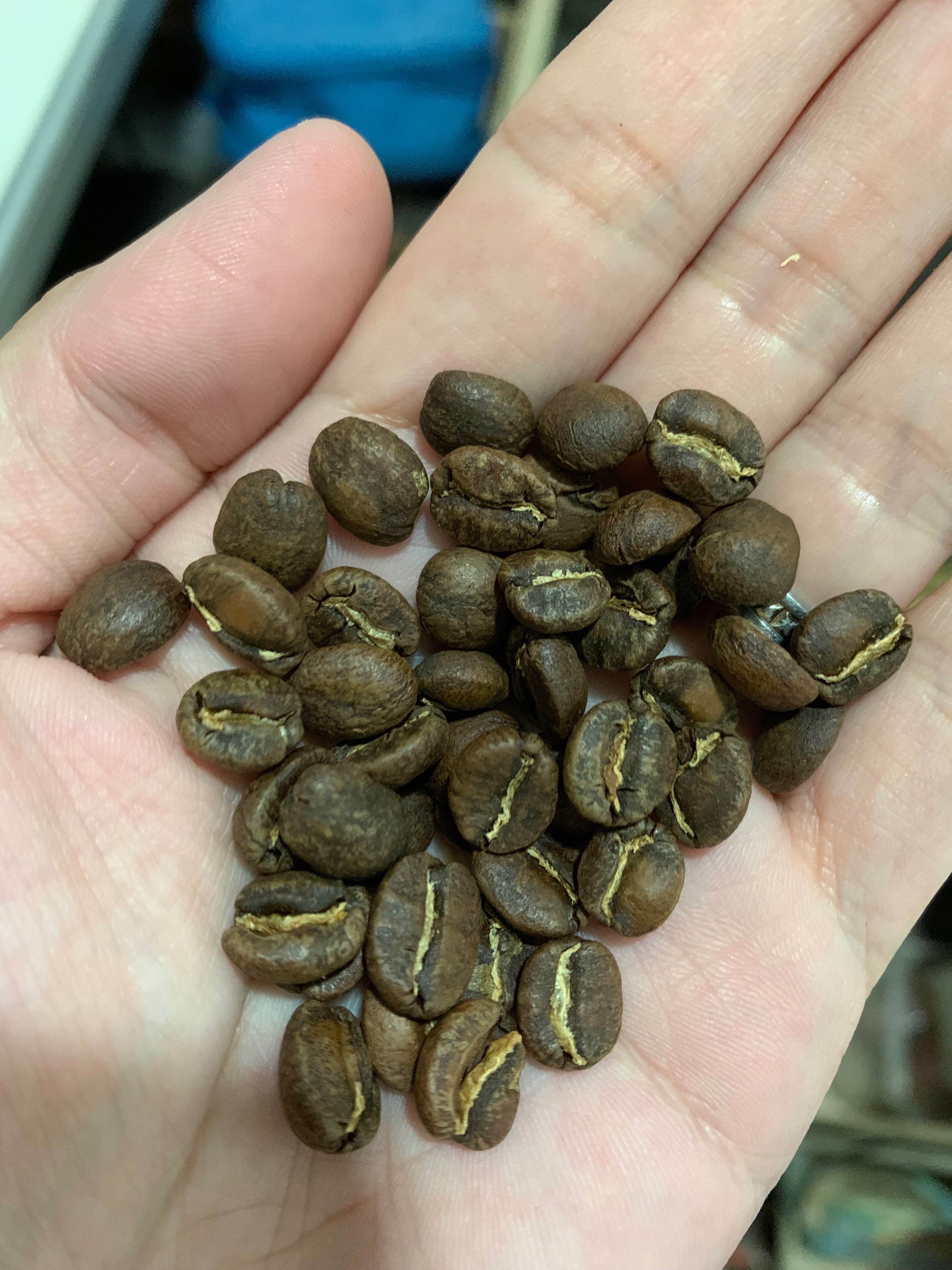 單包咖啡豆專區