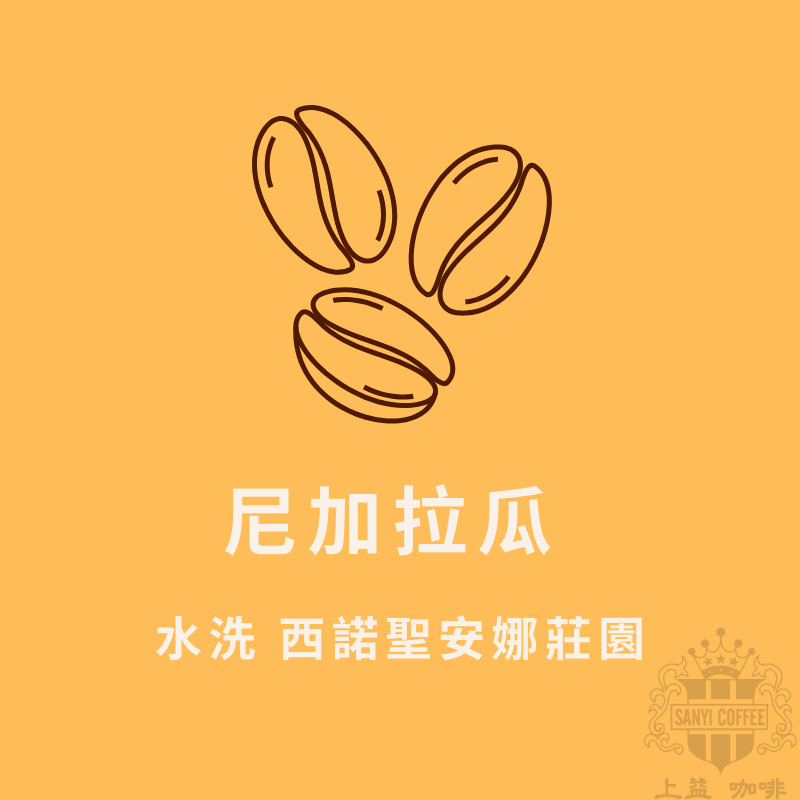 尼加拉瓜 水洗 西諾聖安娜莊園