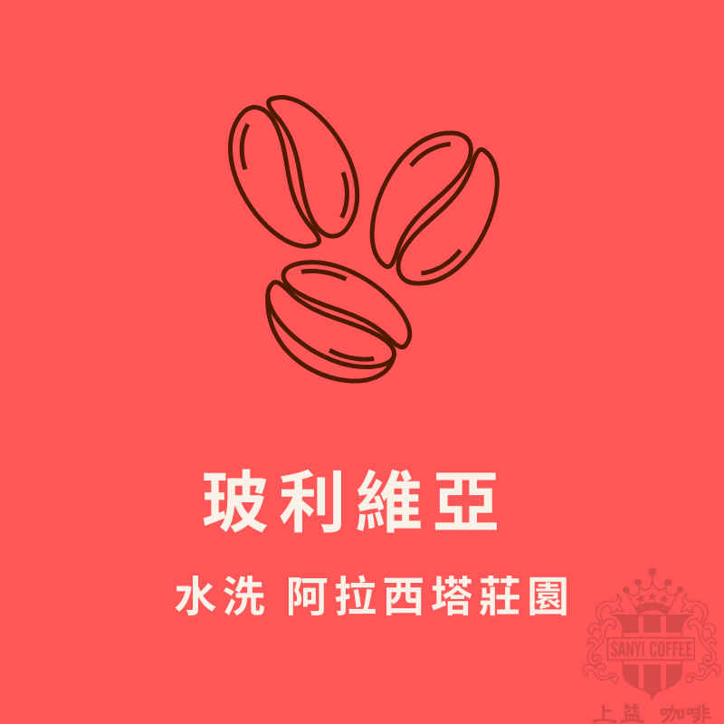 玻利維亞 水洗 阿拉西塔莊園