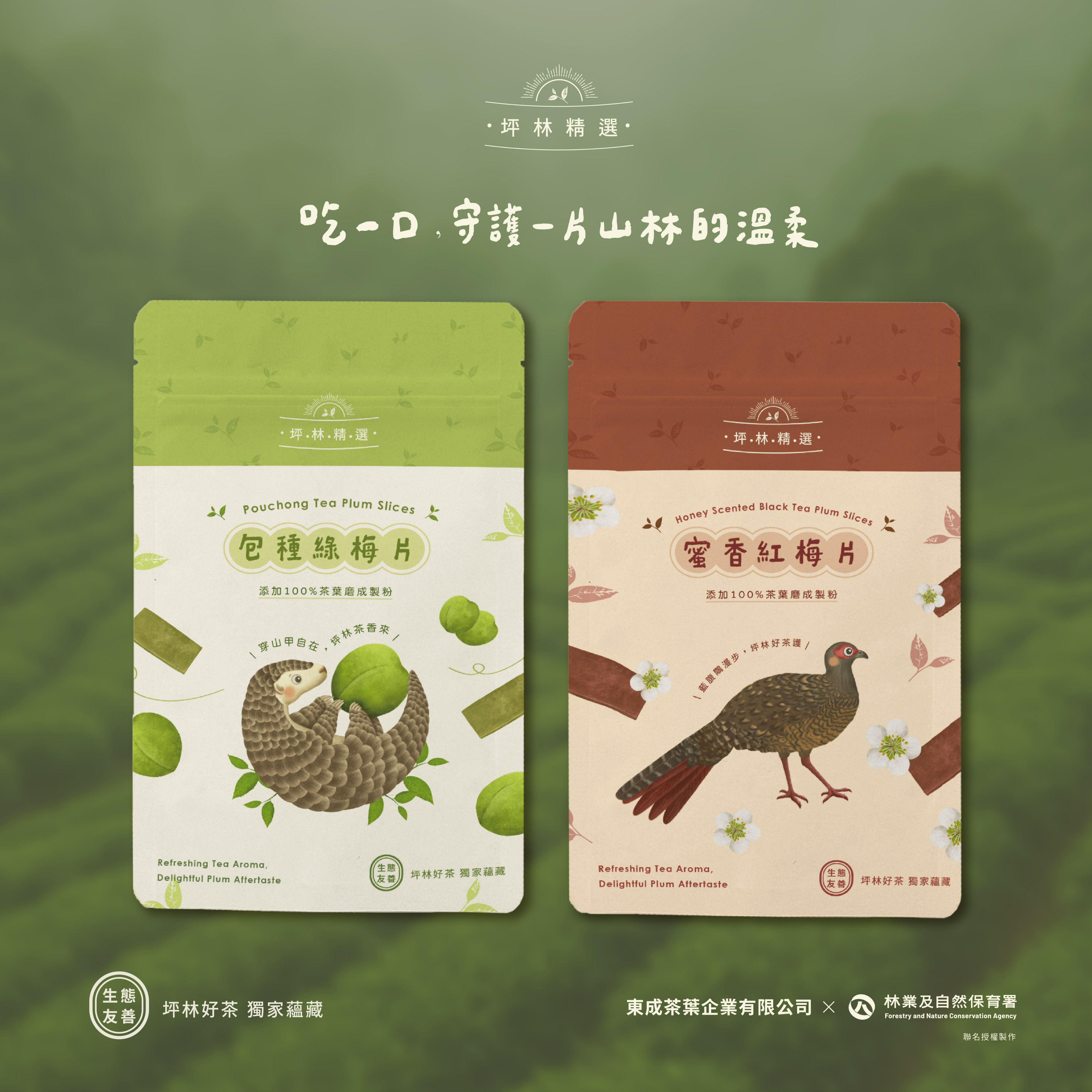 東成茶葉【痴犬找茶】東成茶葉X林保署聯名    包種抹茶梅片