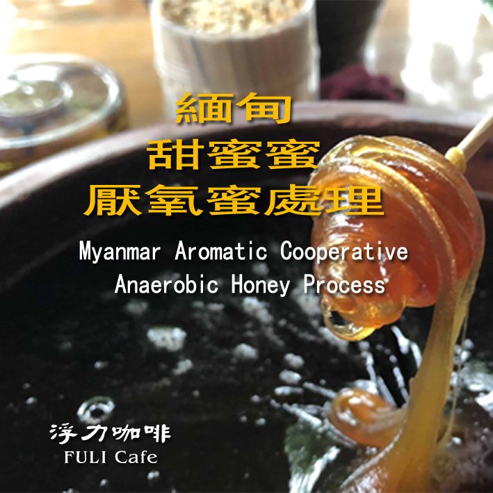 緬甸 甜蜜蜜 厭氧蜜處理 Myanmar Anaerobic Honey Process