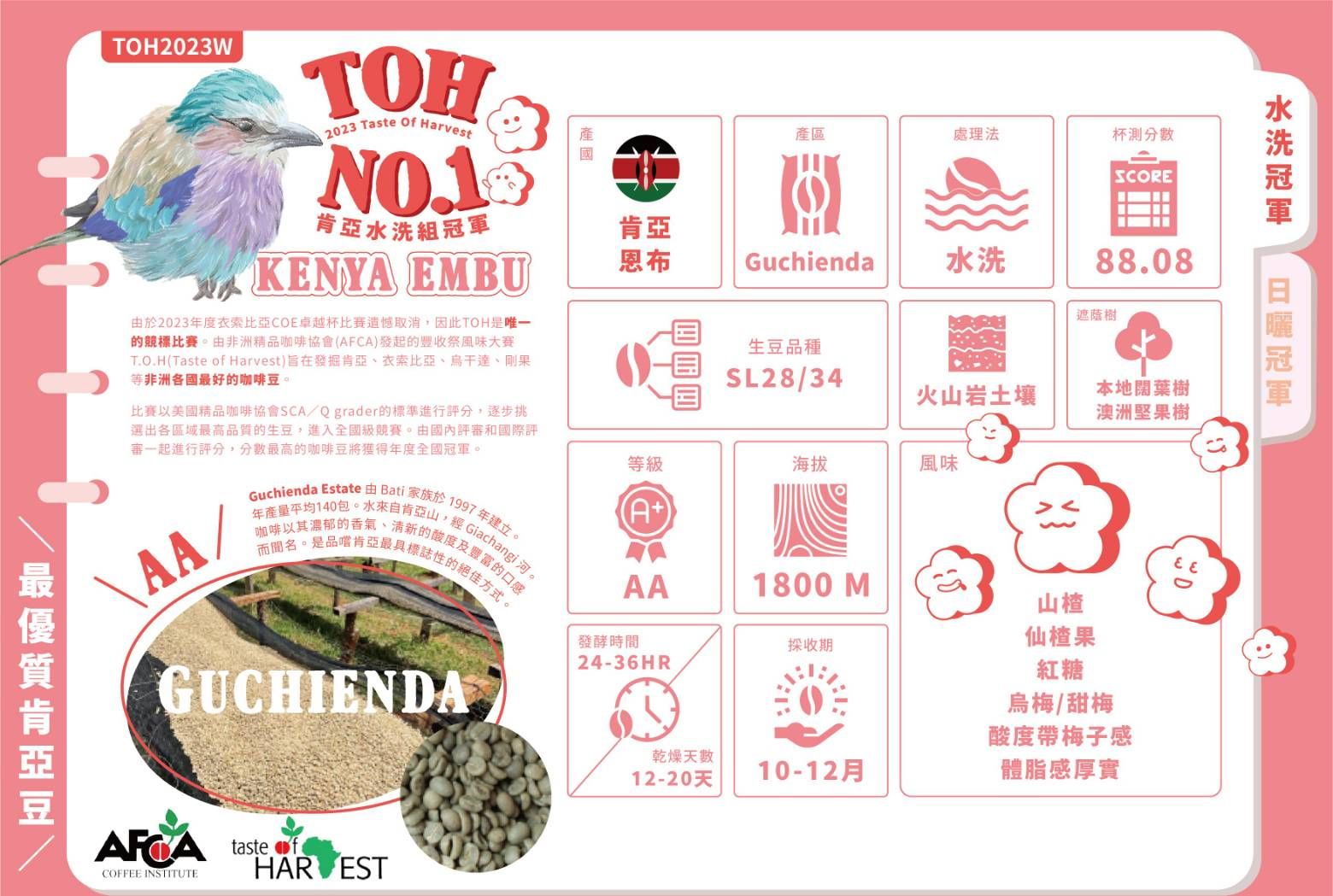 肯亞 恩布 THO 競標 水洗第一名