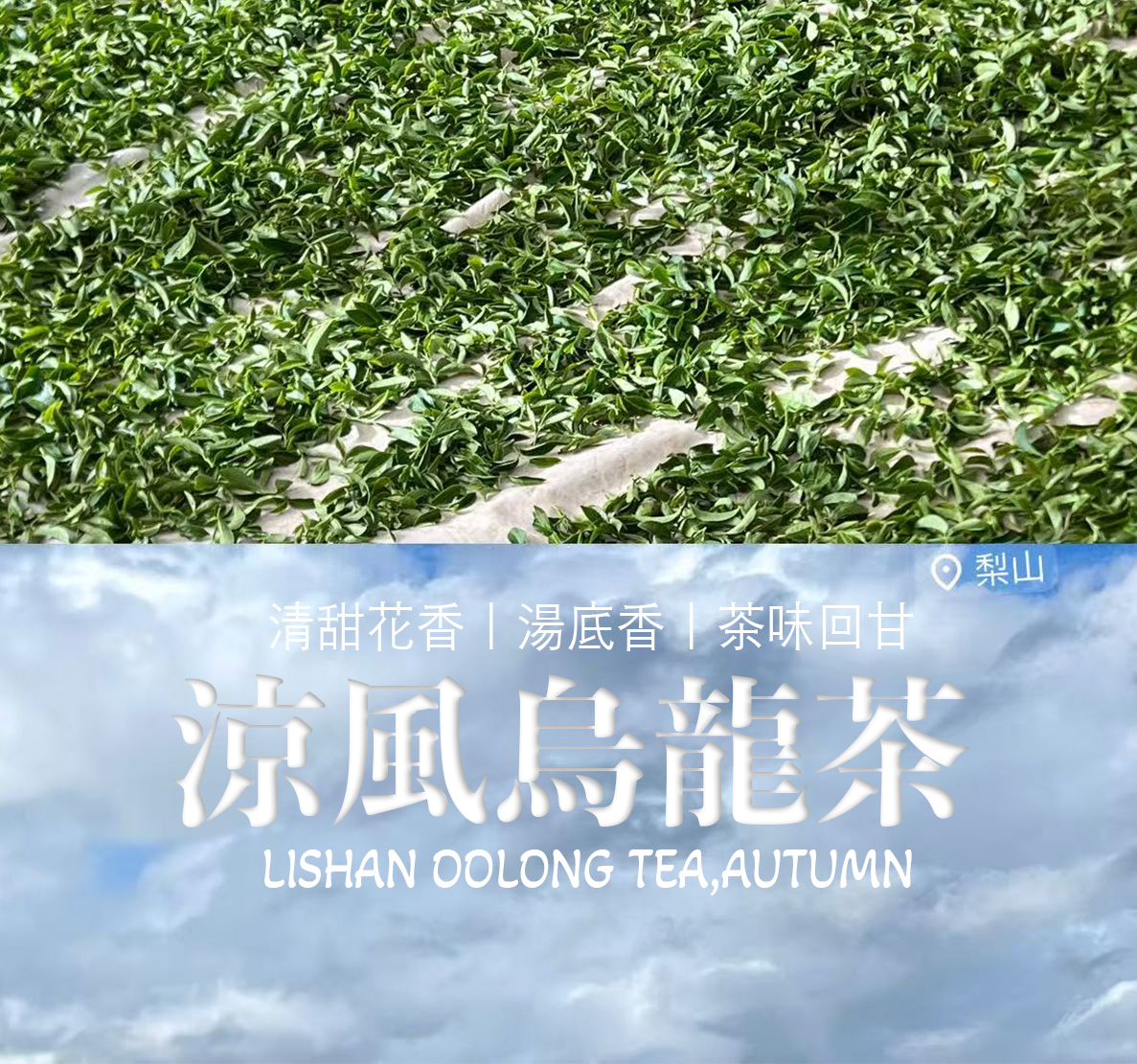 涼風起｜梨山烏龍茶，大容量實惠裝