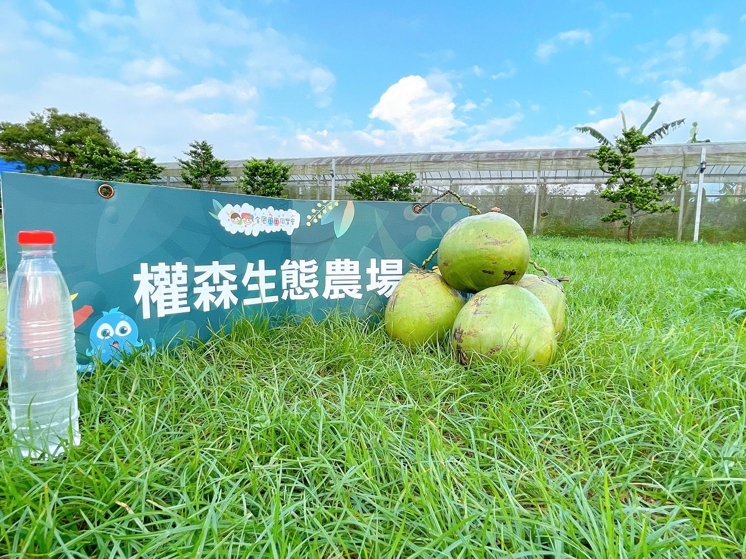 《屏東長治張爺爺》屏東現剖瓶裝椰子水《一箱最多10瓶可混搭》