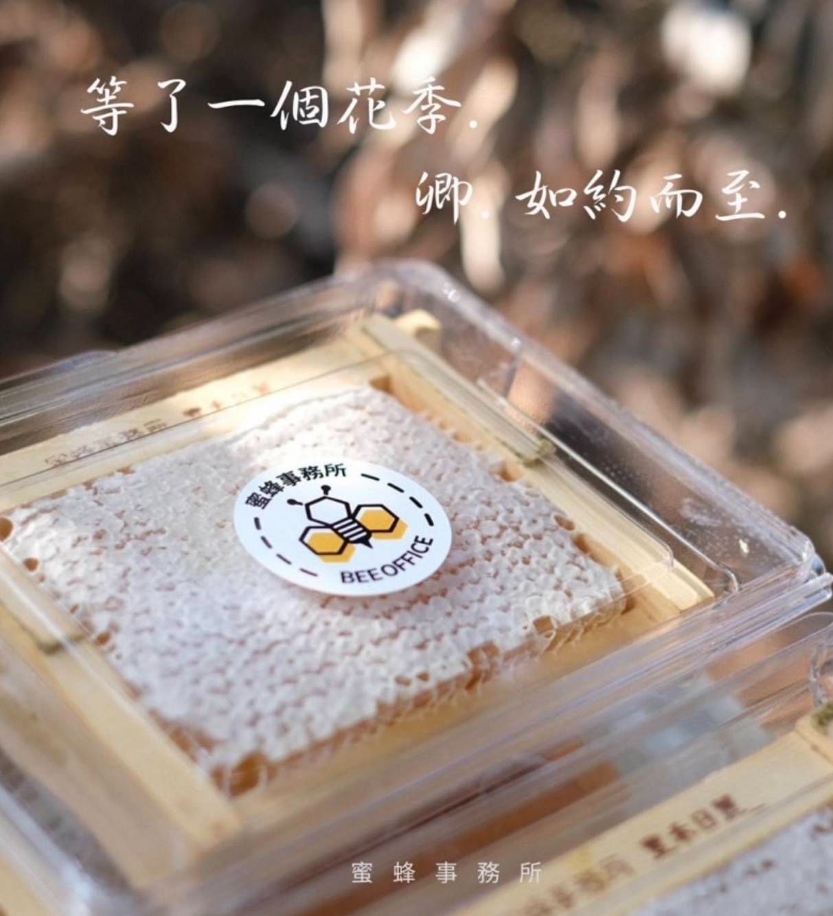 【豐禾日麗】蜂巢蜜