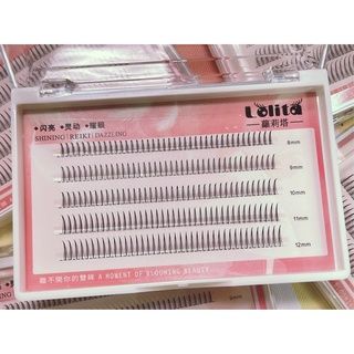 現貨🔥【暢銷熱購款🇹🇼】mojiesi仙女毛 焦糖色仙子毛 a型假睫毛 單簇棕色朵毛 自然仿真混合裝 假睫毛 嫁接