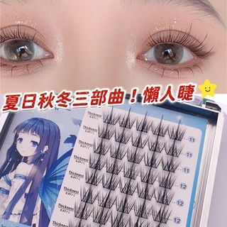 【懶人三步曲】