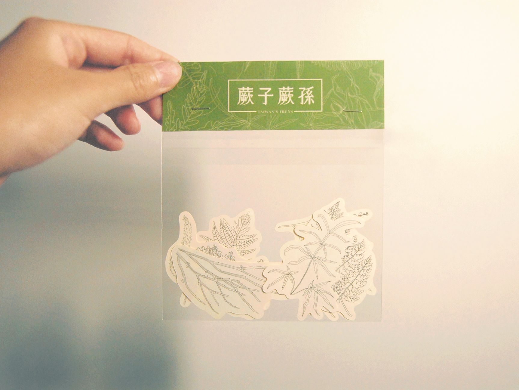 ◆蕨類貼紙包◆