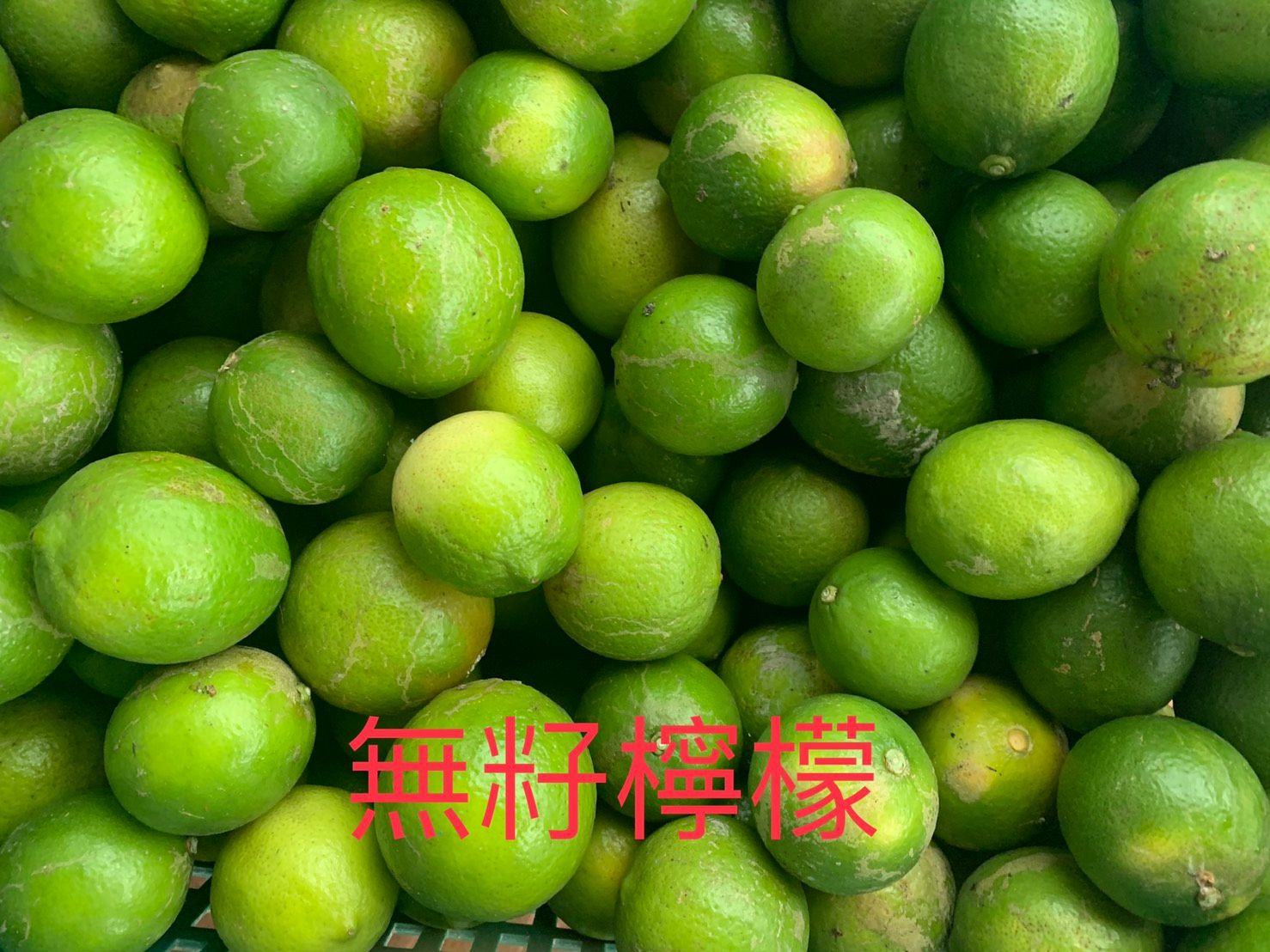 《屏東長治張爺爺》無籽檸檬『萊姆檸檬』新鮮直送
