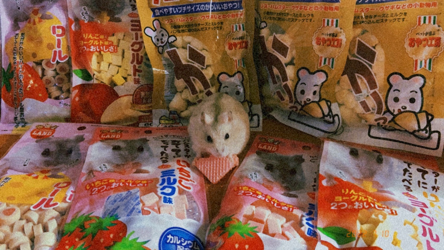 推✨哇勒分裝零食包（偶爾隱藏版零食出沒）