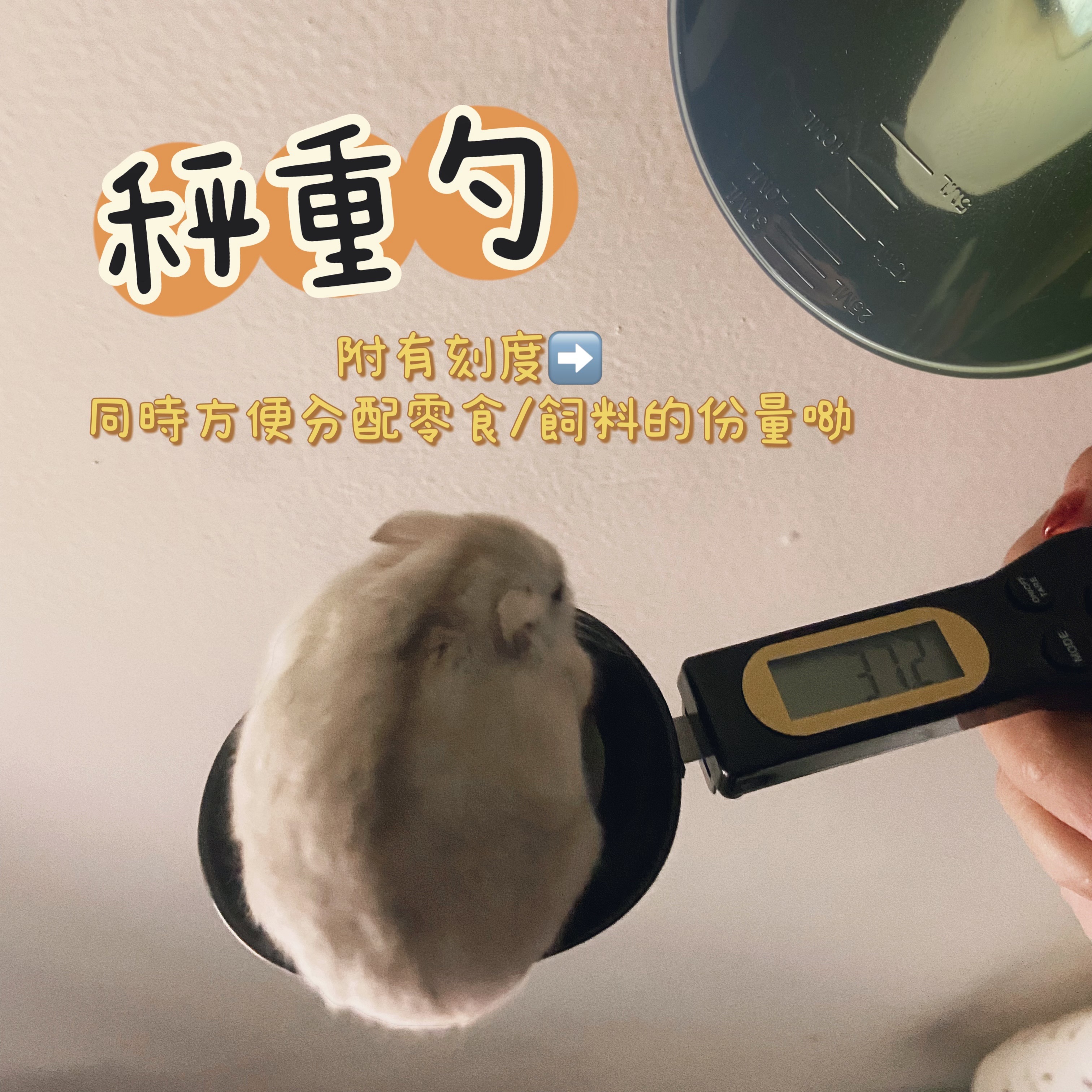 小鼠家長必備😍秤重勺（食物分配/體重測量）