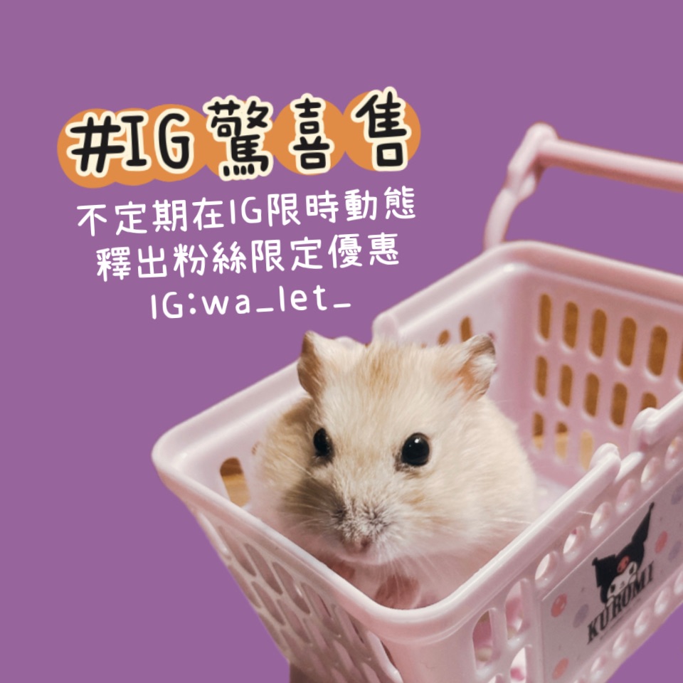 IG限定🐹：wa_let_