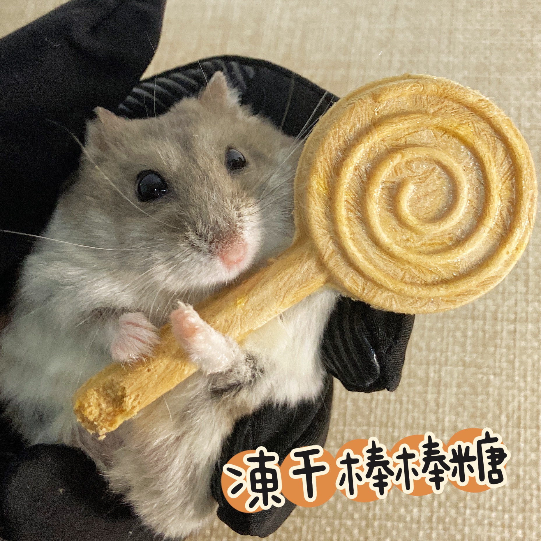 推🐭凍干棒棒糖（🏠狗狗貓貓也可以吃ㄛ）