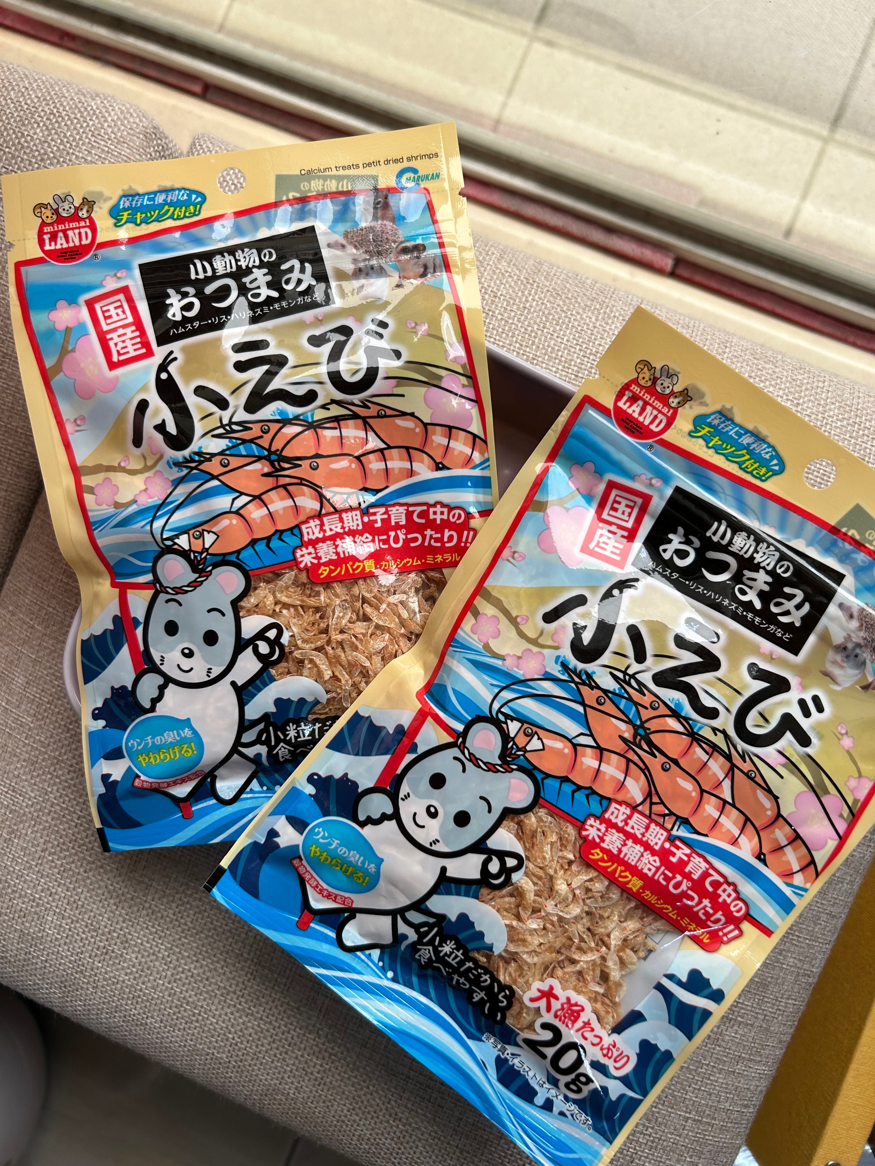 小小小蝦米🦐