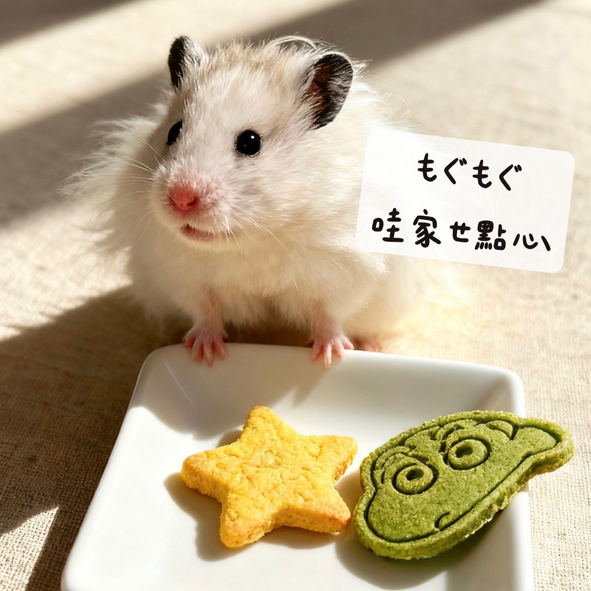 もぐもぐ 哇家ㄝ點心｜磨牙餅🍪
