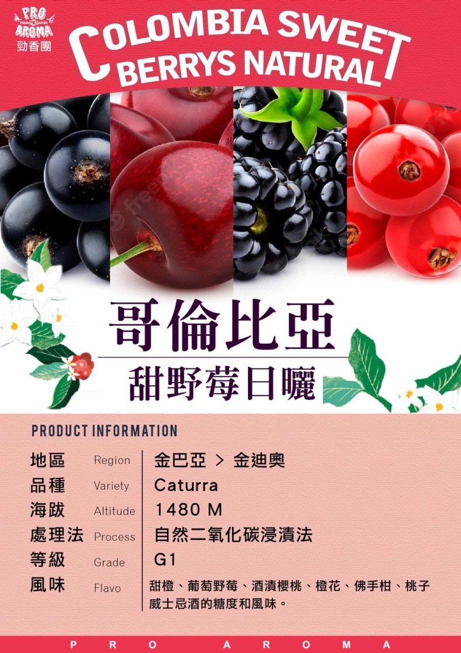 哥倫比亞甜野莓日曬半磅裝／最新到貨／中淺烘焙