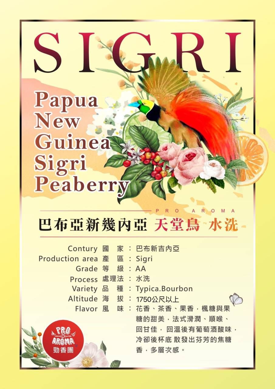 巴布亞新幾內亞 天堂鳥 水洗 半磅裝／最新到貨／中淺烘焙