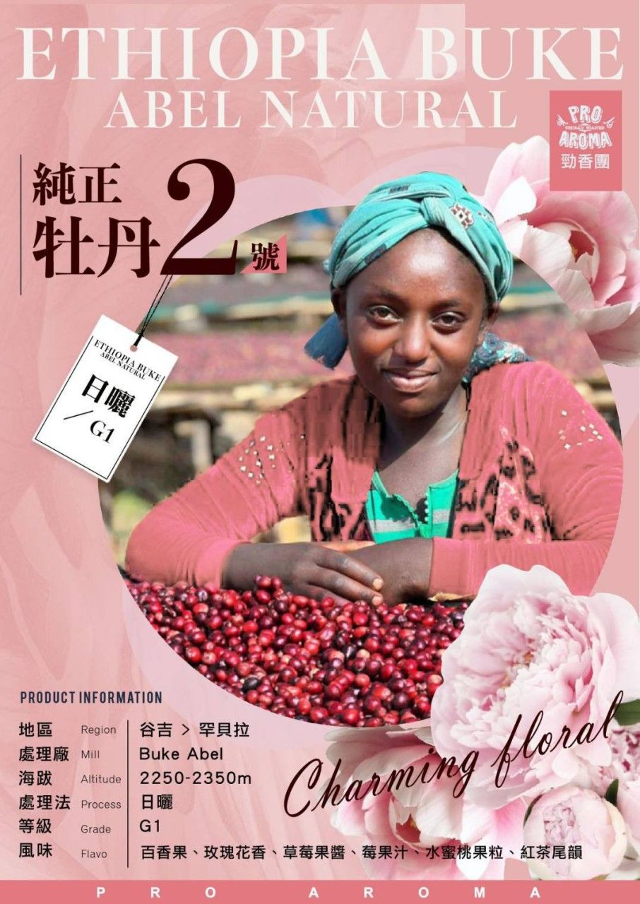 純正牡丹2號半磅裝／最新到貨／中淺烘焙