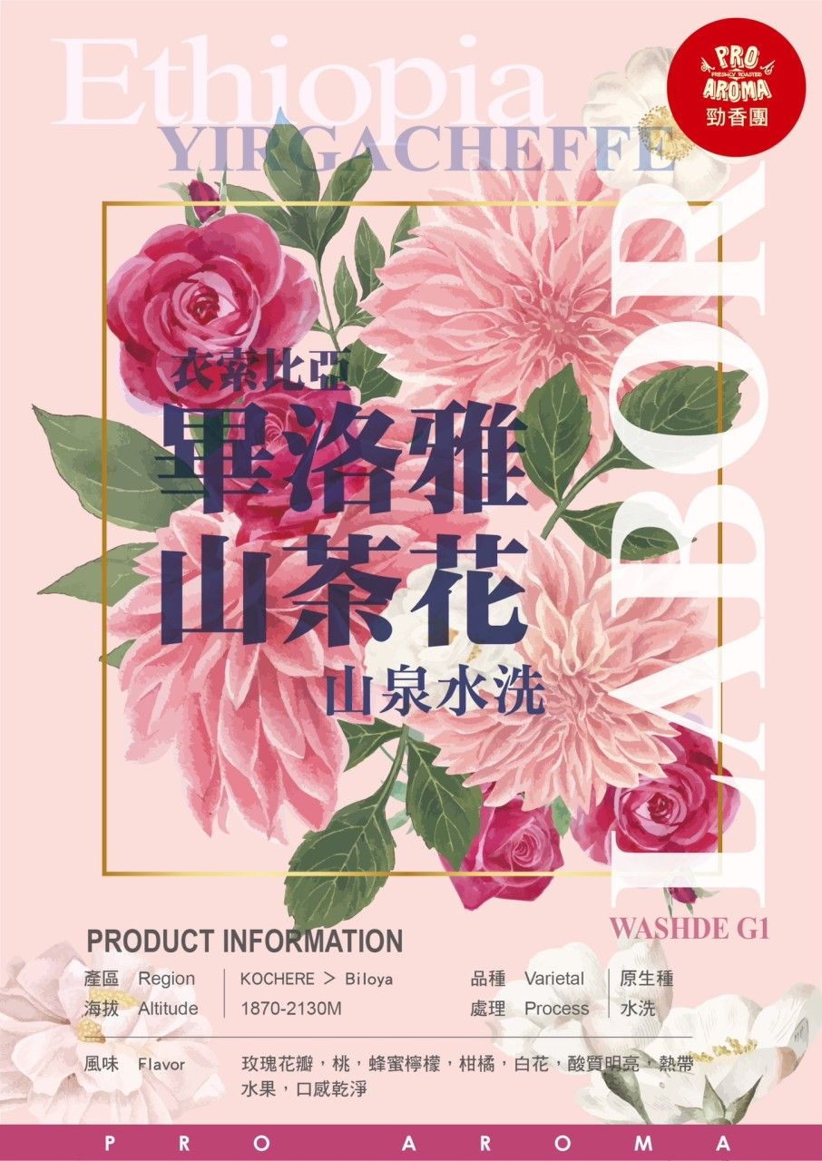 勁香團-衣索比亞 畢洛雅 山茶花 山泉水洗