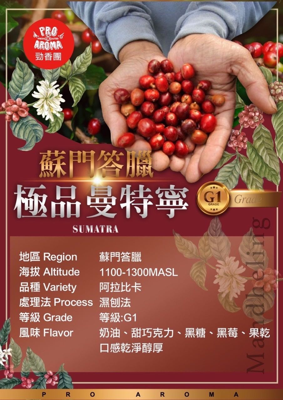 勁香團-蘇門答臘 極品曼特寧