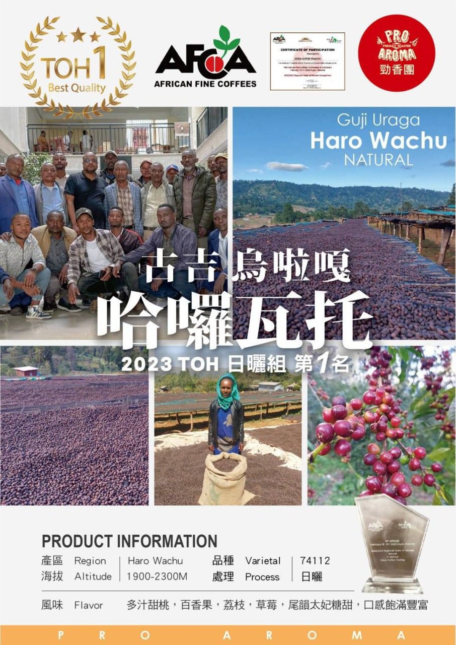 勁香團-2023 TOH 日曬組 榮獲第一名 古吉 烏啦嘎哈囉瓦托