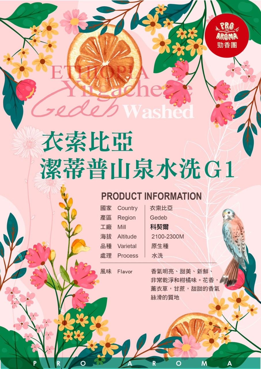 勁香團-衣索比亞 潔蒂普 山泉水洗 G1