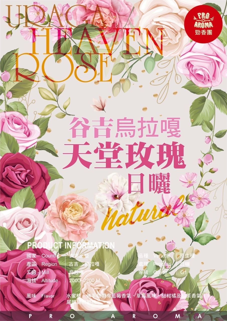 勁香團-谷吉烏拉嘎天堂玫瑰日曬