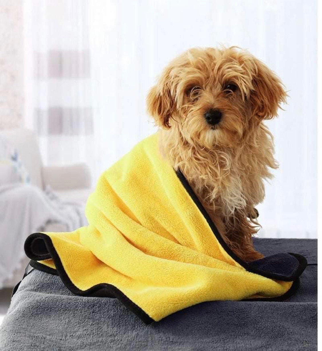 吸水毛巾現貨!!!